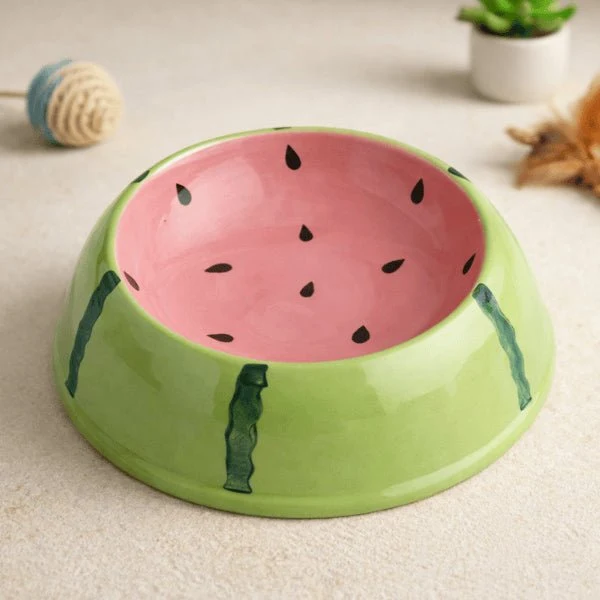 Gamelle chat céramique - Antibactérienne design agrume - Céragrum™