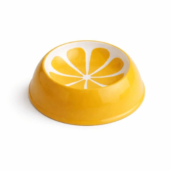 Gamelle chat céramique - Antibactérienne design agrume - Céragrum™