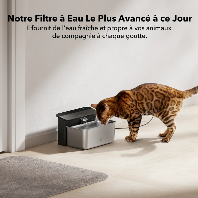 Ultrafiltre Glacier Pour Fontaine