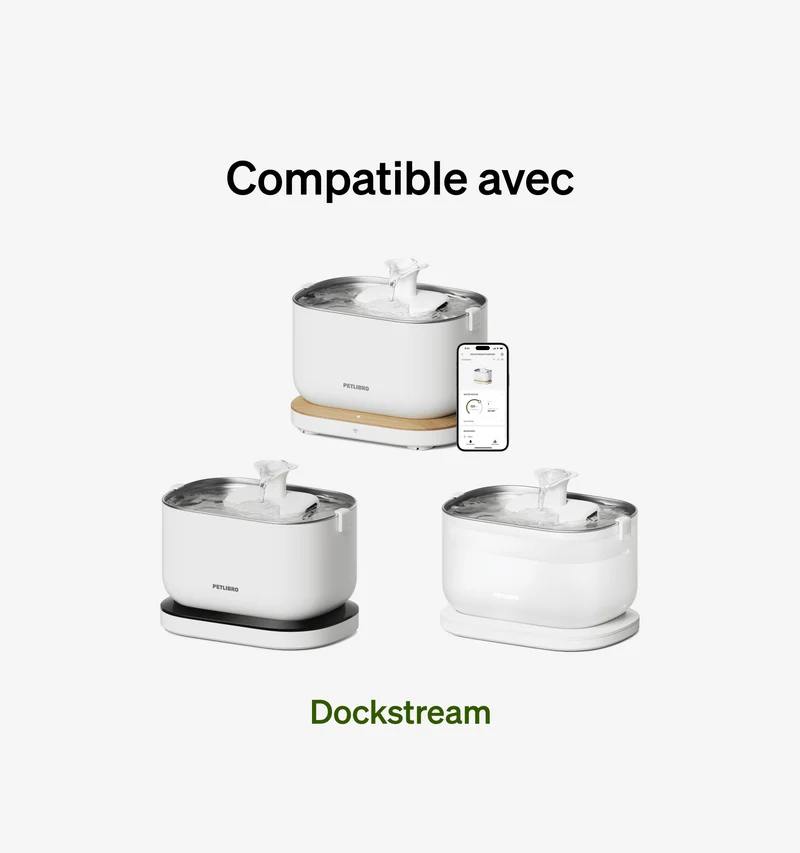 Dockstream Pompe De Remplacement Pour Fontaine