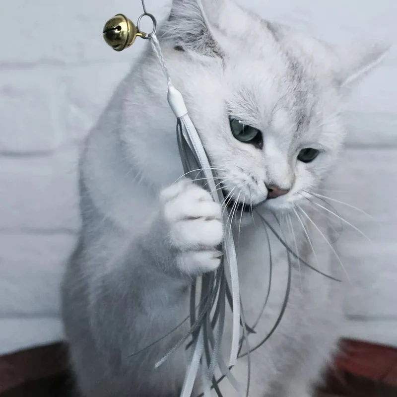 Canne à pêche pour chat artisanale Kater Kasimir 🎣