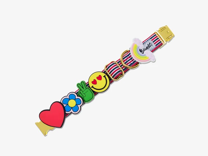 Pack de 5 bijoux en silicone pour collier, bandana, laisse, harnais