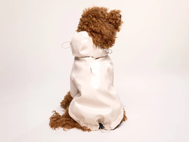 Imperméable pour chien crème