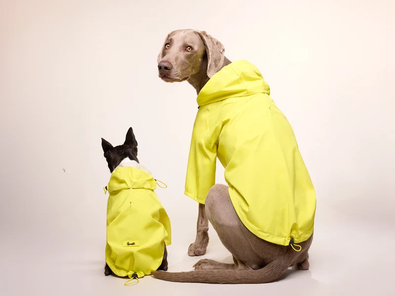 Imperméable pour chien jaune