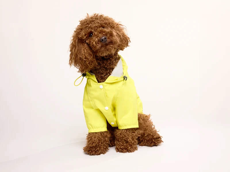 Imperméable pour chien jaune