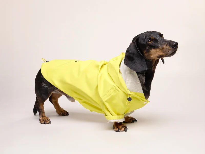 Imperméable pour chien jaune