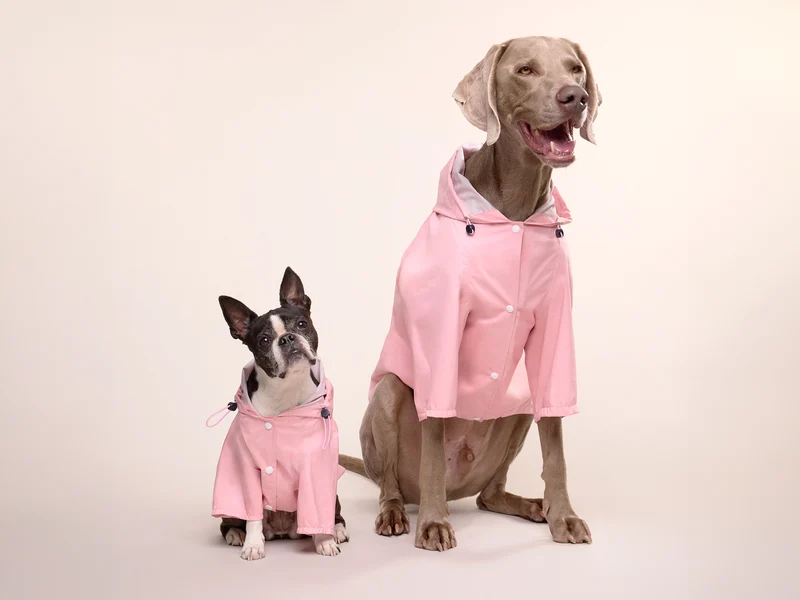 Imperméable pour chien rose
