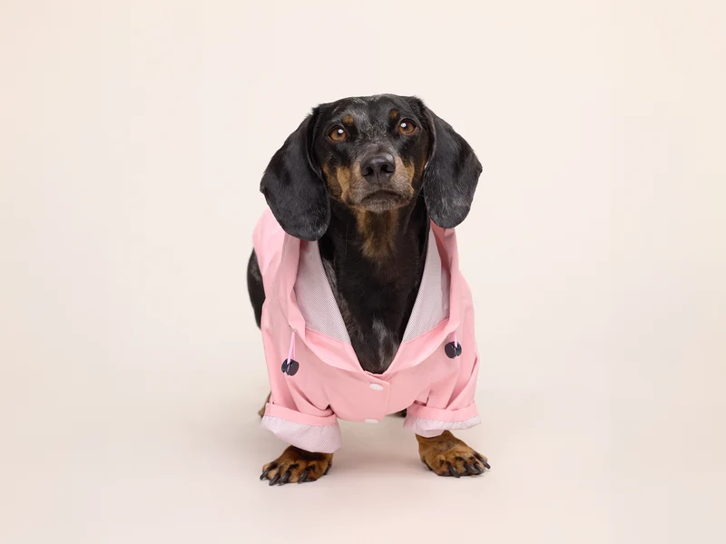 Imperméable pour chien rose