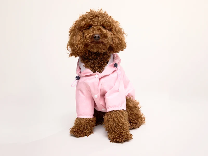 Imperméable pour chien rose