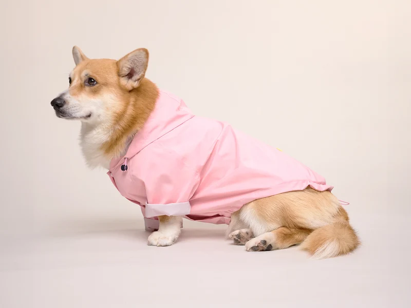 Imperméable pour chien rose