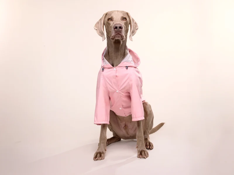 Imperméable pour chien rose