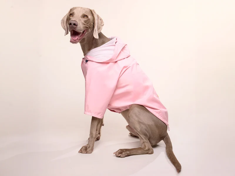 Imperméable pour chien rose