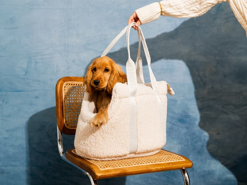 Sac pour chien en sherpa