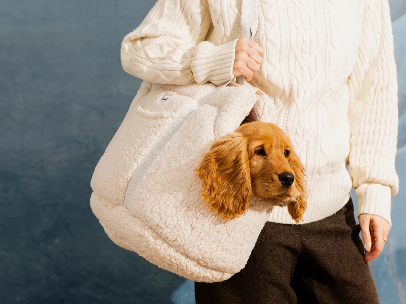 Sac pour chien en sherpa