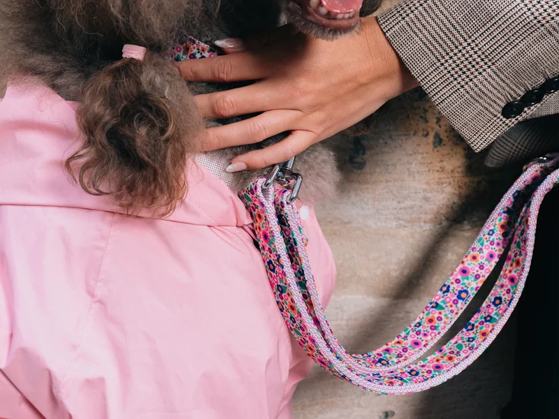 Laisse pour chien imprimé rose fleuri