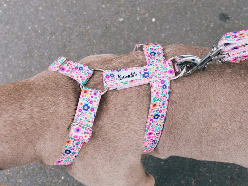 Harnais pour chien imprimé fleuri rose
