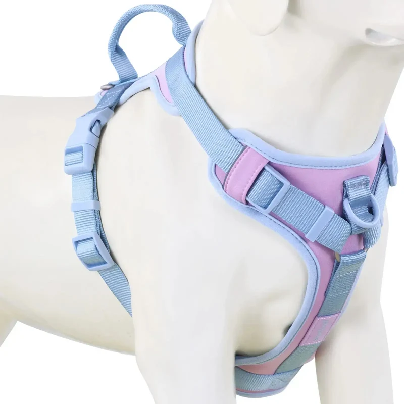 Harnais anti traction chien qui tire