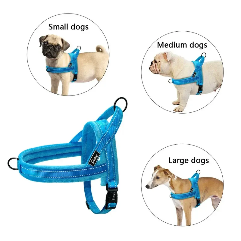 Harnais anti traction chien education