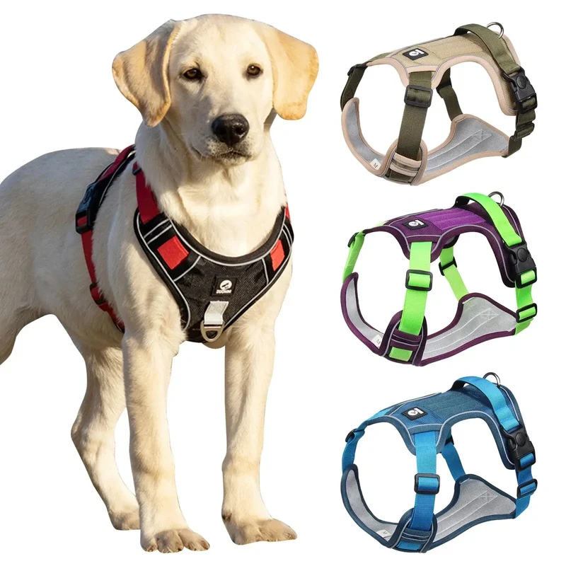 Harnais chien rembourré en y