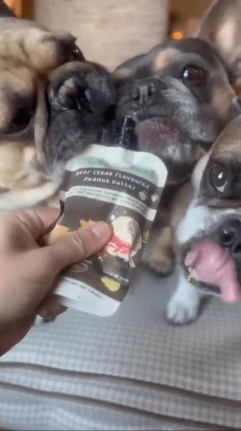 Pochette de beurre de cacahuète pour chien Meaty Licks