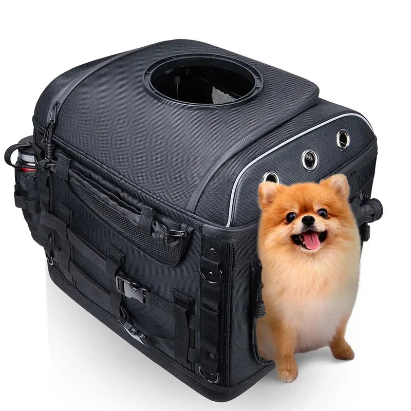 Panier chien moto
