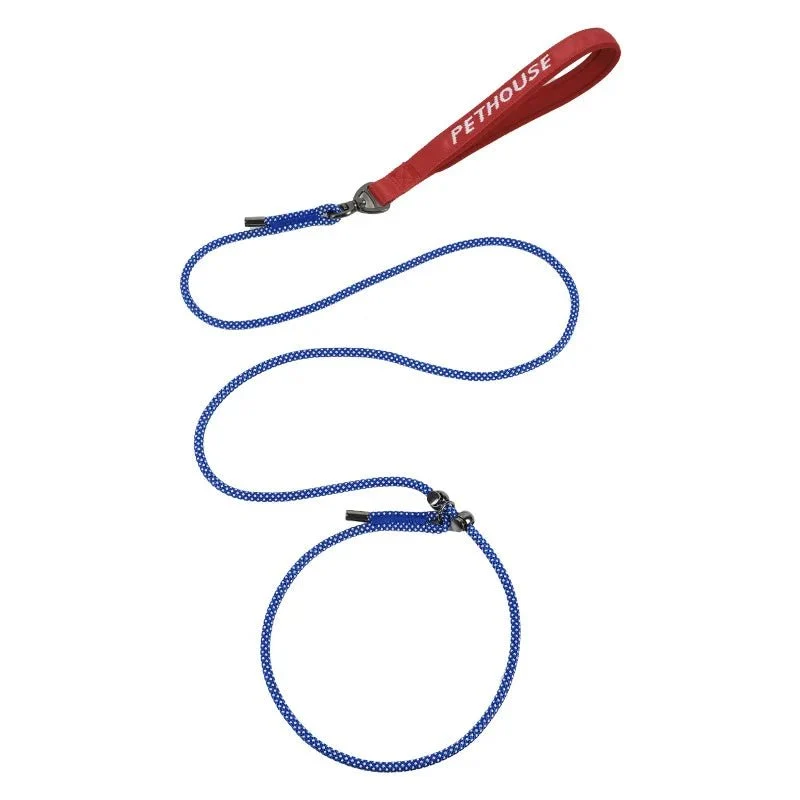 Laisse lasso chien qui tire