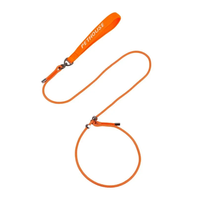 Laisse lasso chien qui tire