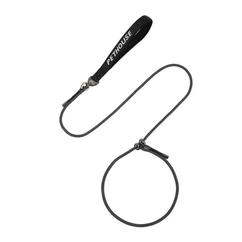 Laisse lasso chien qui tire