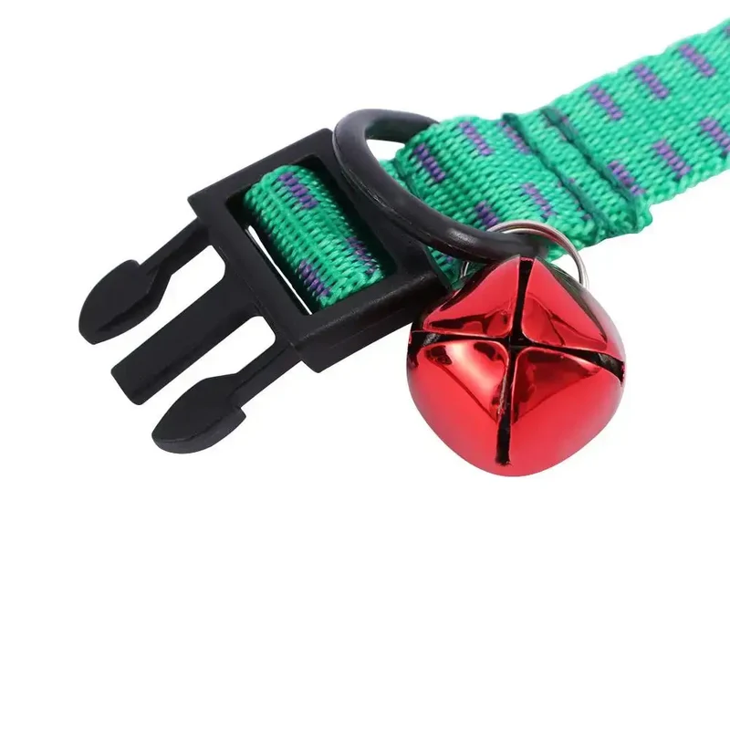 Collier anti puce chiot