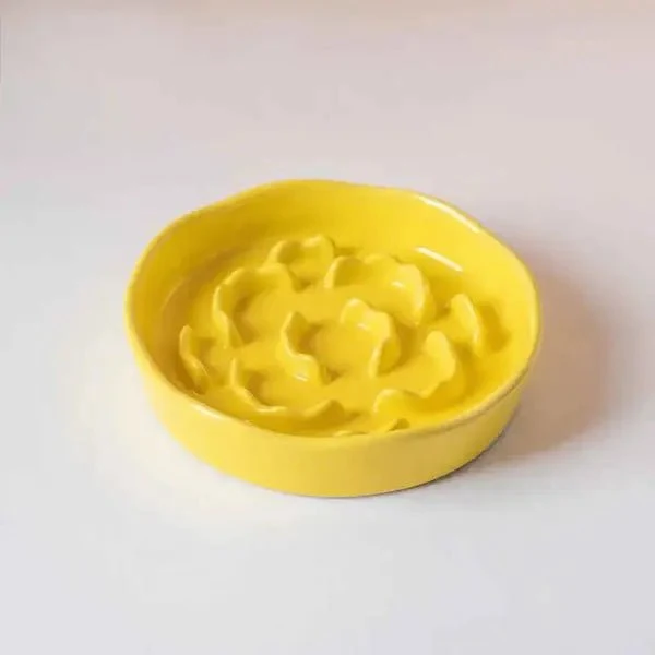 Gamelle anti-glouton chat - Céramique colorée stable - DigestCat™