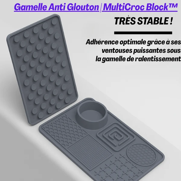 Tapis anti glouton chat - Polyvalent et stimulant - MultiCroc Block™