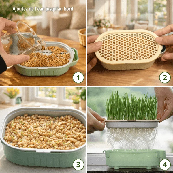 Bac de culture herbe à chat hydroponique - PurrGarden™