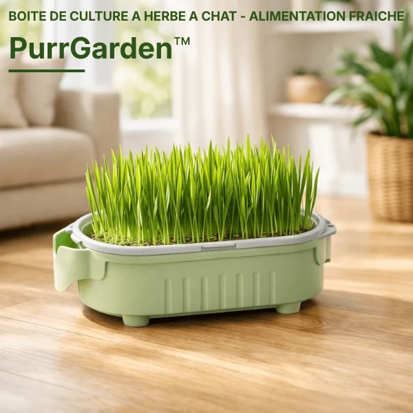 Bac de culture herbe à chat hydroponique - PurrGarden™