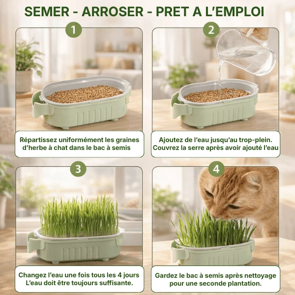Bac de culture herbe à chat hydroponique - PurrGarden™