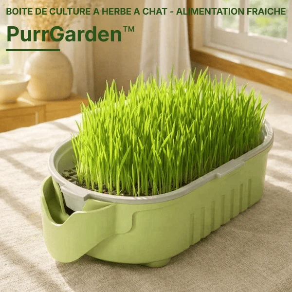 Bac de culture herbe à chat hydroponique - PurrGarden™