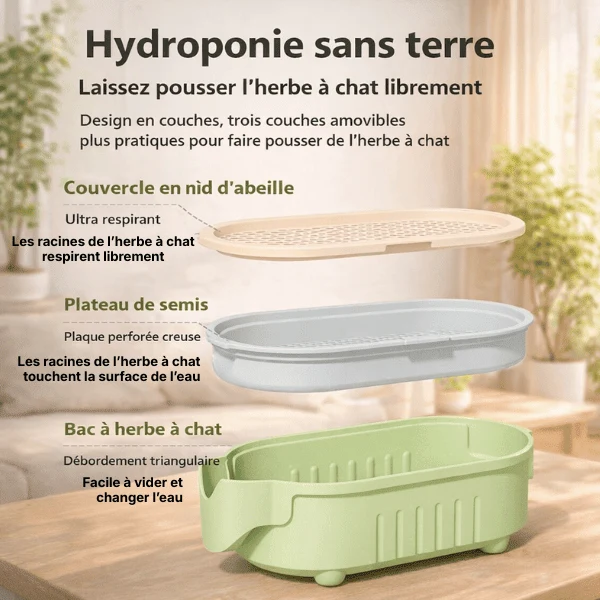 Bac de culture herbe à chat hydroponique - PurrGarden™