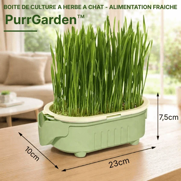 Bac de culture herbe à chat hydroponique - PurrGarden™