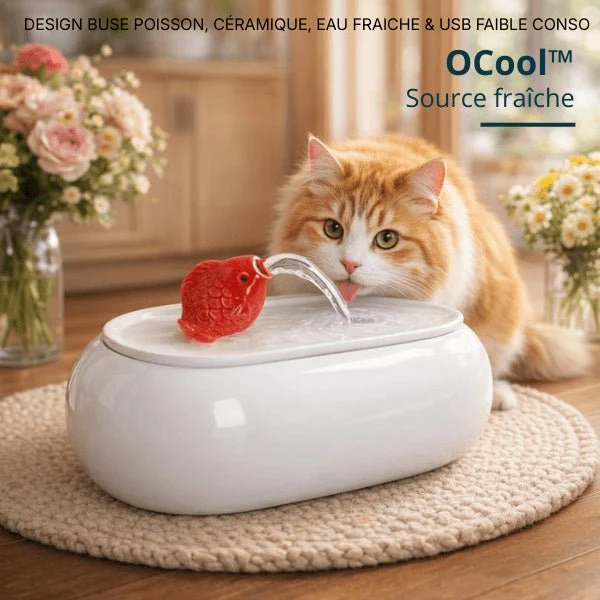Fontaine à eau pour chat céramique ovale buse poisson - OCool™