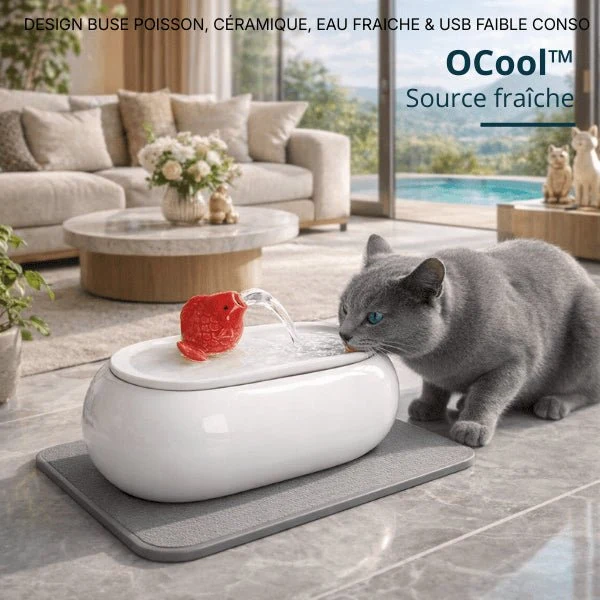Fontaine à eau pour chat céramique ovale buse poisson - OCool™