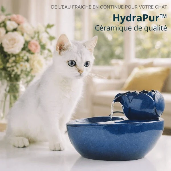 Fontaine à eau chat céramique lotus design zen - HydraPur™