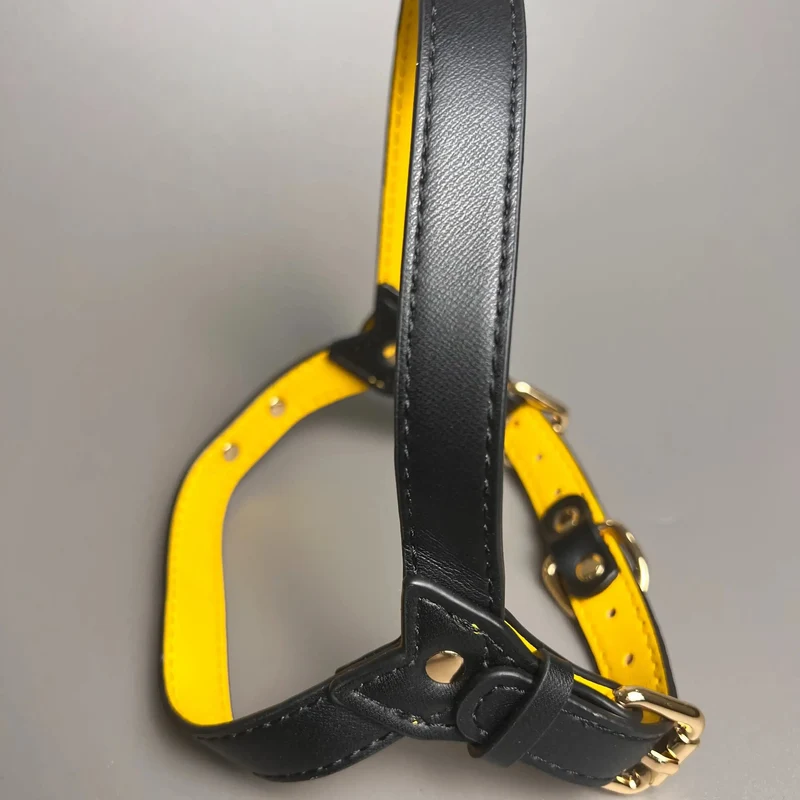 Harnais cuir pour chien en y