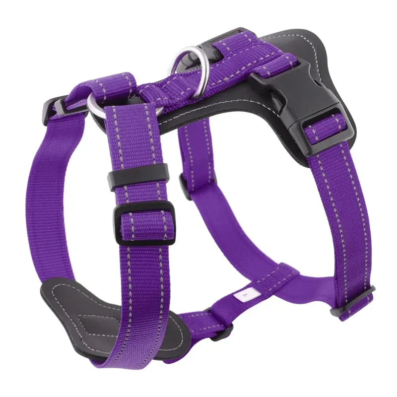 Harnais cuir pour gros chien