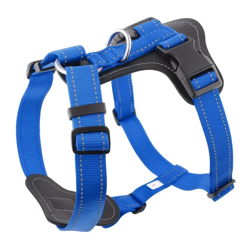 Harnais cuir pour gros chien