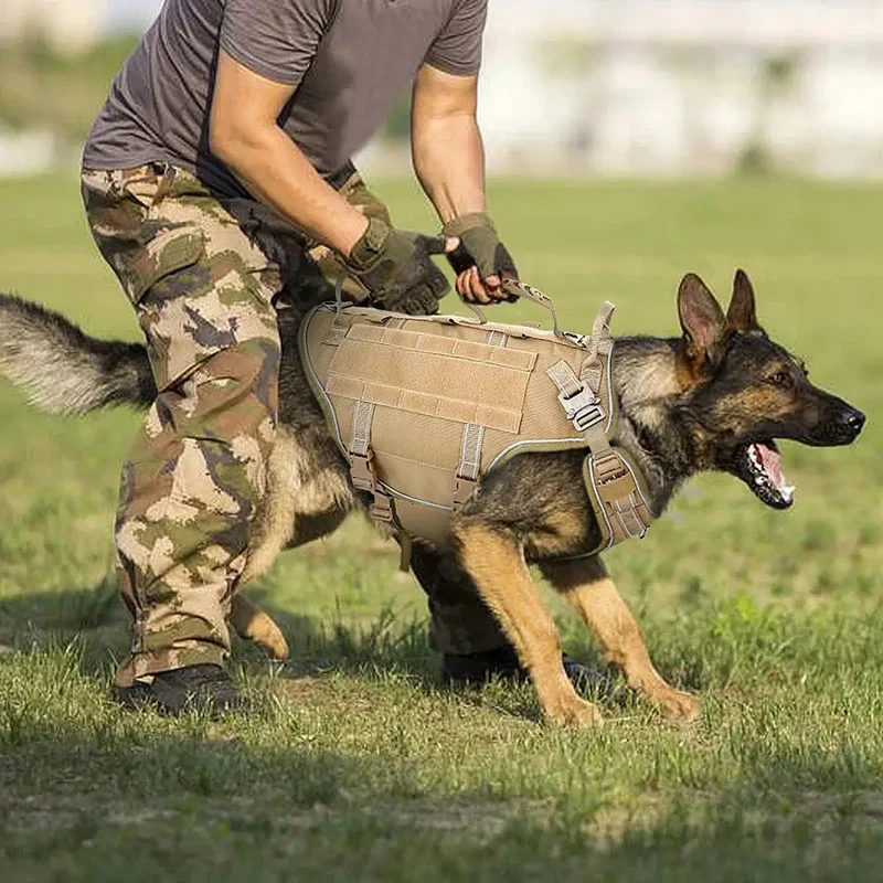 Harnais d'entraînement pour gros chien