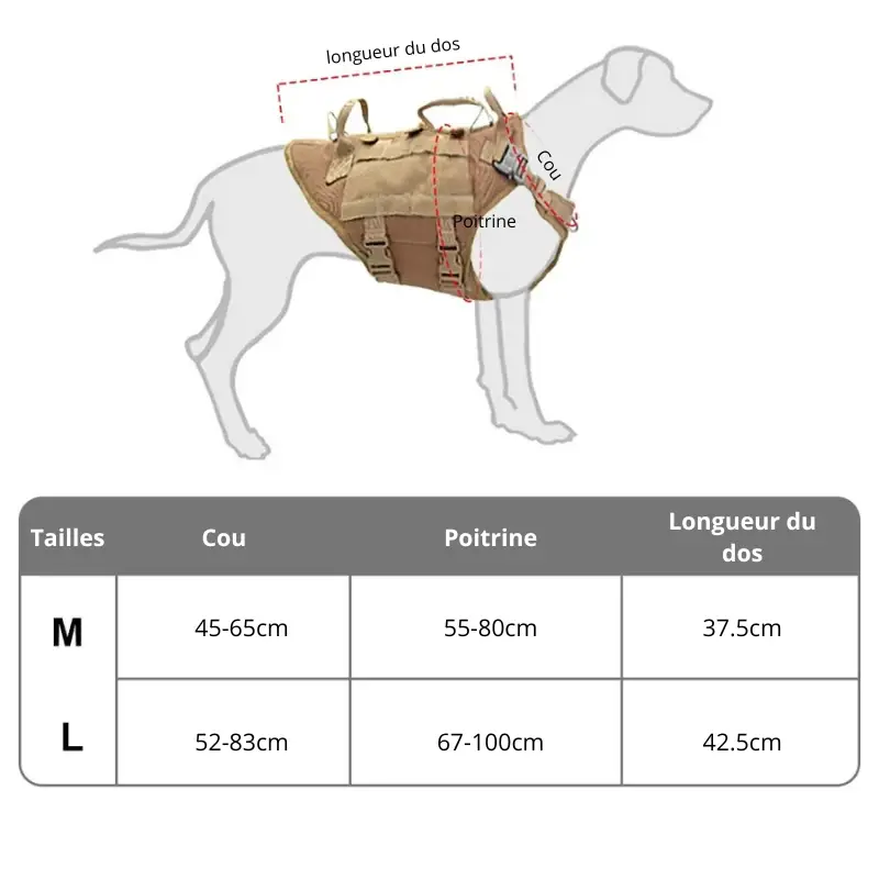 Harnais d'entraînement pour gros chien