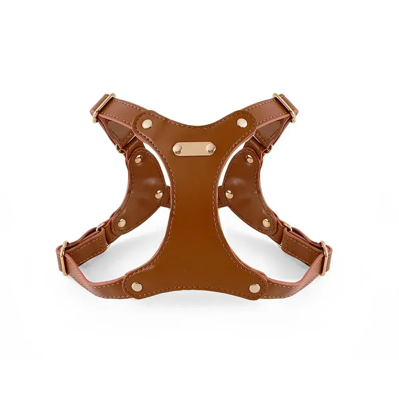 Harnais de cuir pour petit chien