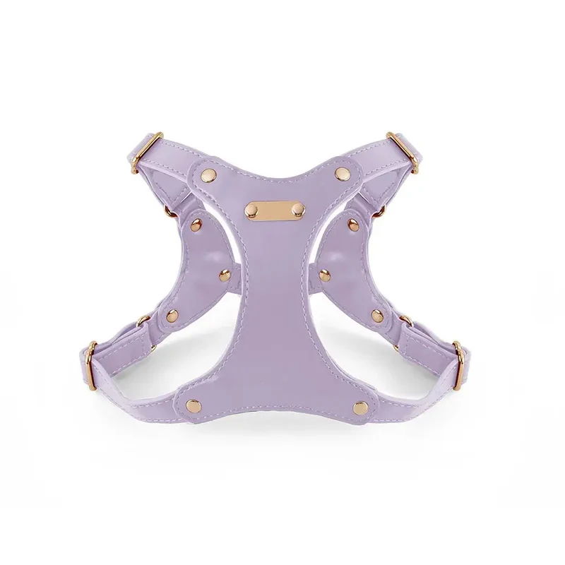 Harnais de cuir pour petit chien