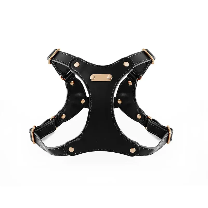 Harnais de cuir pour petit chien