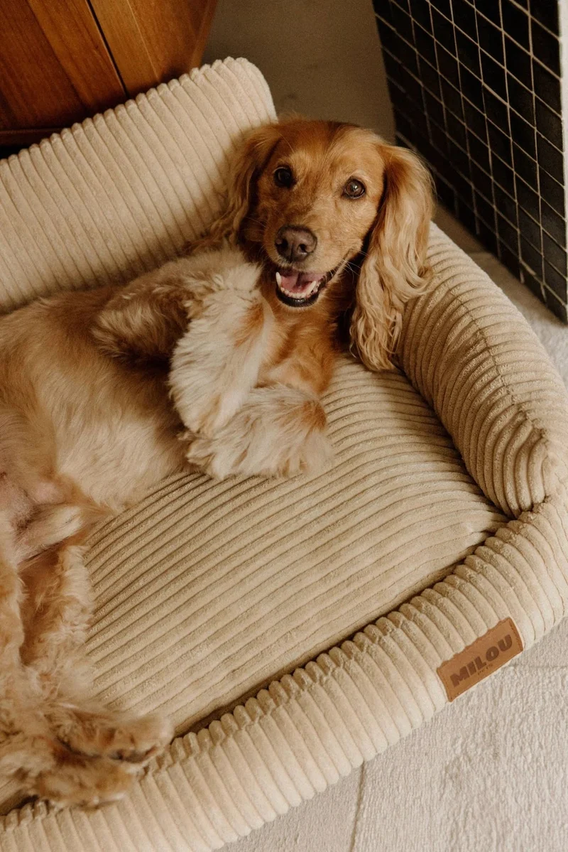 Canapé pour chien orthopédique Simone - Milou Pets
