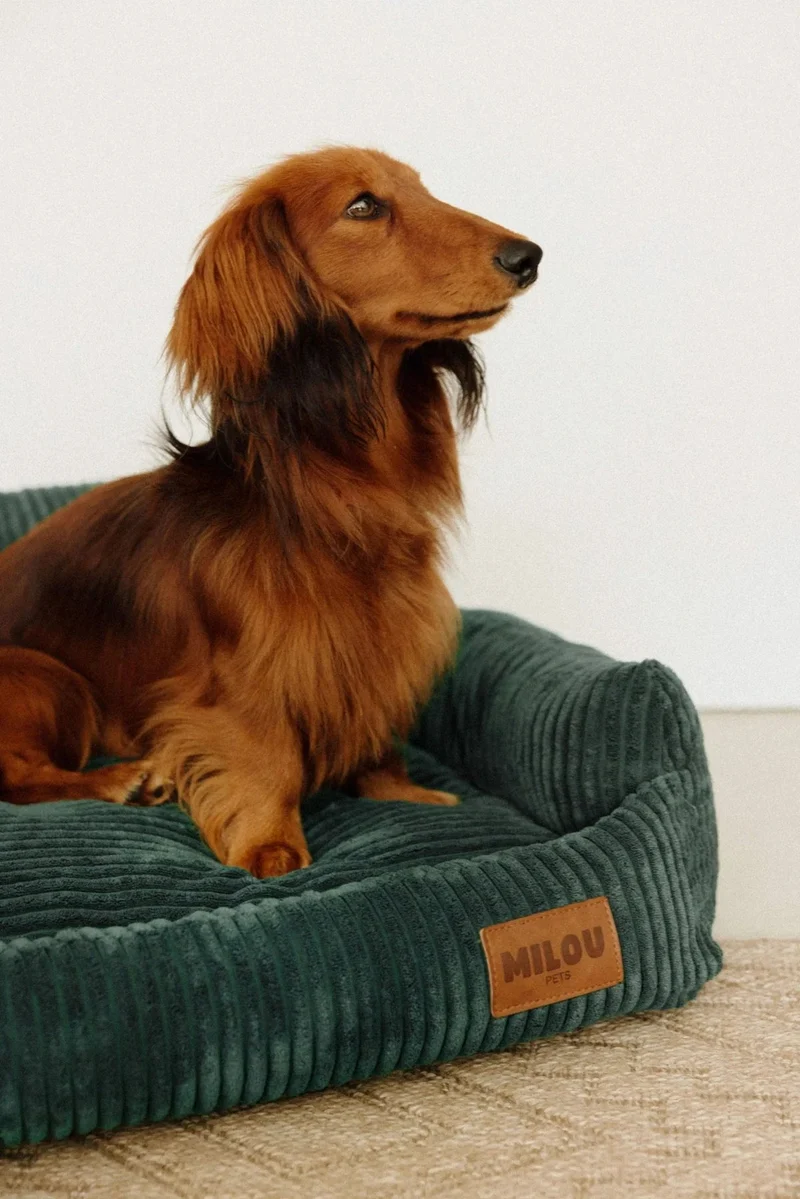 Canapé pour chien orthopédique Simone - Milou Pets